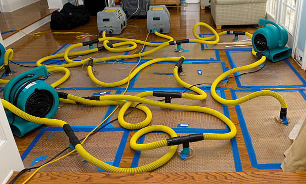 Professional Crawl Space Water Removal technician working in Westhoff, TX